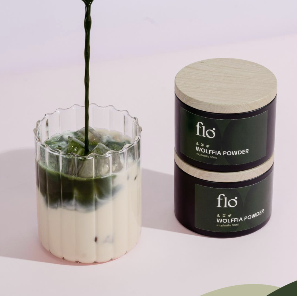 Organic Wolffia Powder